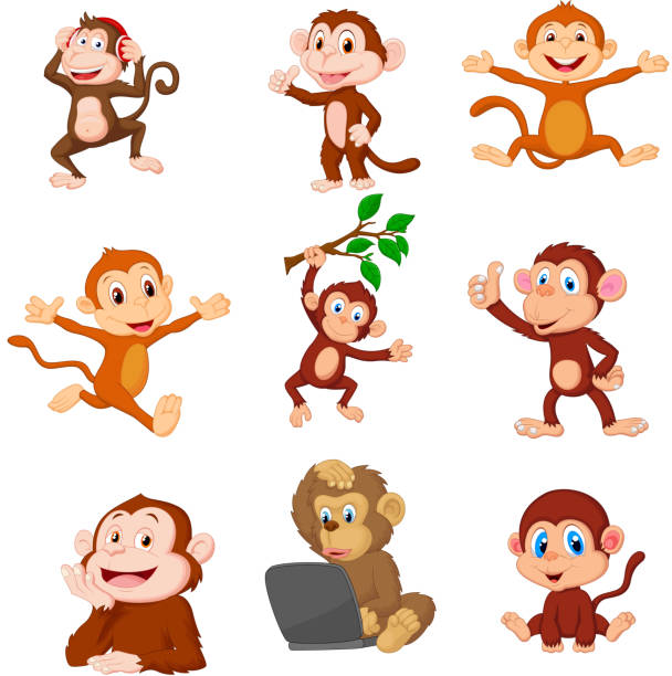 ilustrações de stock, clip art, desenhos animados e ícones de cartoon happy monkeys collection set - safari animals audio