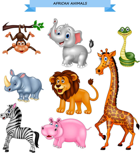 cartoon afrikanische tiere sammlung - tropical rainforest animal cartoon lion stock-grafiken, -clipart, -cartoons und -symbole