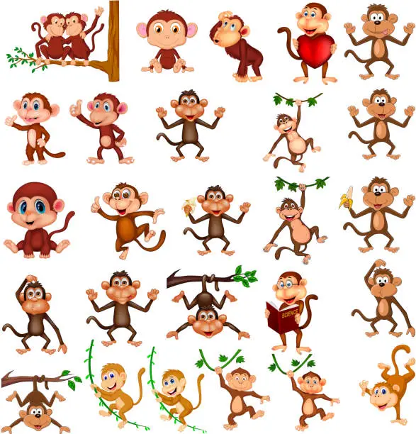 Vector illustration of Cartoon happy monkey collection with different actions