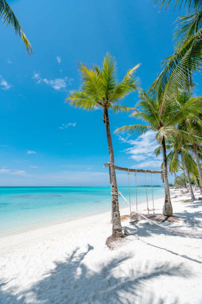 istock swings on a tropical beach 1061216754