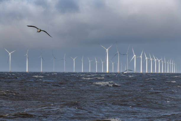 istock Wind turbines in an offshore wind park during a storm 1061219742