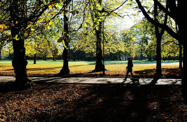 istock Walking the Dog in Public park 1061220044