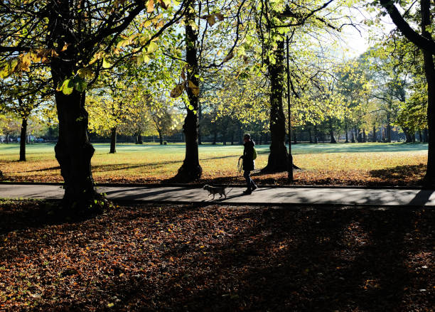 istock Walking the Dog in Public park 1061220082