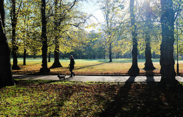 istock Walking the Dog in Public park 1061220092