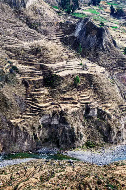 Photo of field on the terraces in canyon