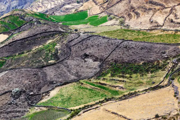 Photo of field on the terraces in South America