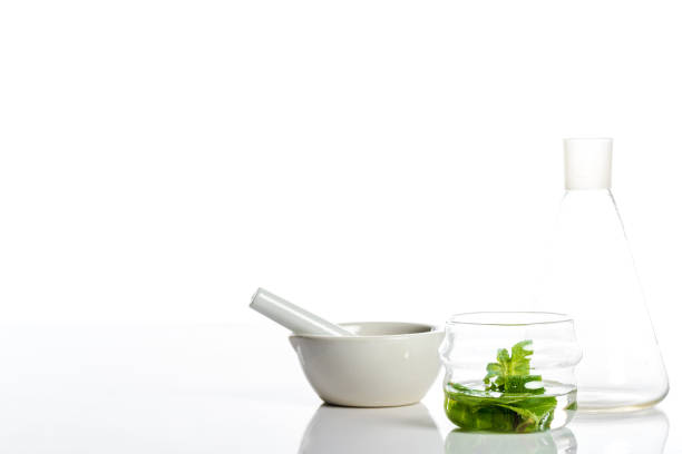 istock mortar with pestle and glass jars with herbs isolated on white 1061238806