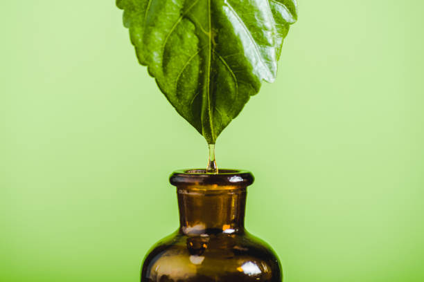 istock essential oil dripping from leaf into glass bottle isolated on green 1061238938