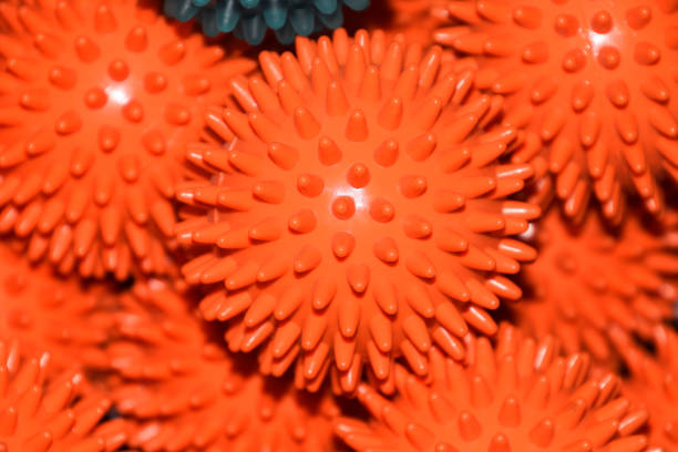 close-up view of orange massage or fascia balls without people - rolling up flash imagens e fotografias de stock