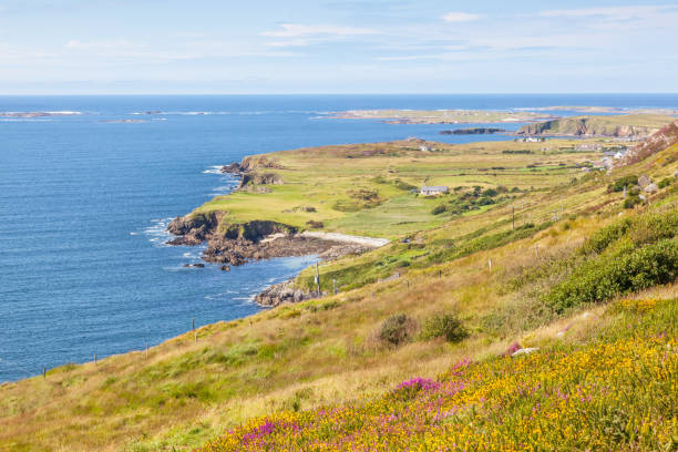 istock Skr Road View in Ireland 1061240258
