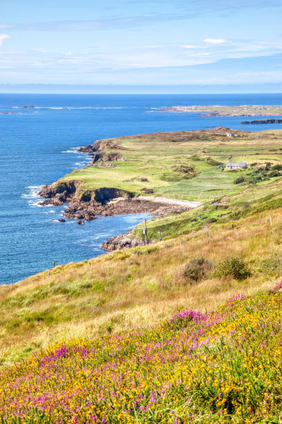 istock Skr Road View in Ireland 1061240270