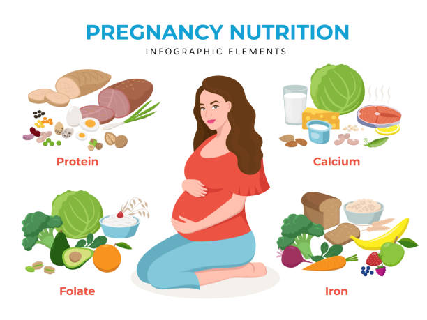 Pregnancy Nutrition Infographic Elements In Flat Design Vector Illustration  Pregnant Woman Cartoon Character Isolated On White Background High Calcium  Ironrich Folate Protein Foods And Products Stock Illustration - Download  Image Now - iStock