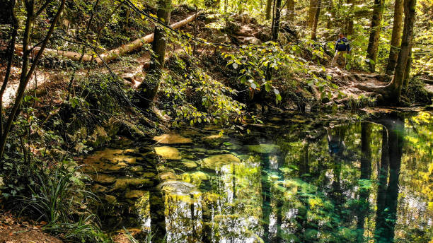 istock Ochiul Beiului Lake 1061245212