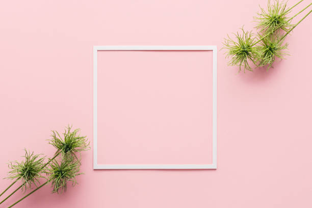 istock view from above of arranged green plants and white frame on pink 1061252780