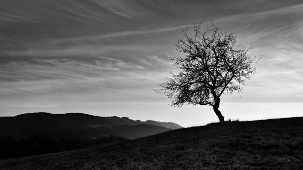 istock Fall landscape in Polana region 1061258402