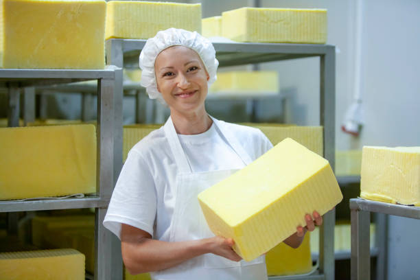 travailleuse sur ligne de production de fromage jaune dans une usine industrielle - cheese making photos et images de collection