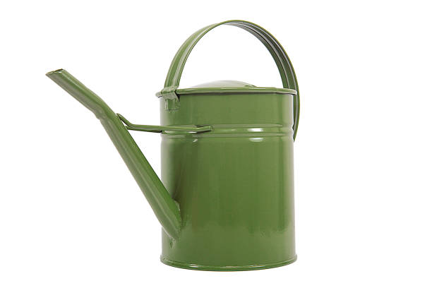 istock Green metal watering can isolated on white background. 1061272038