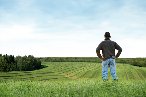 Rearview shot of a farmer standing on a field