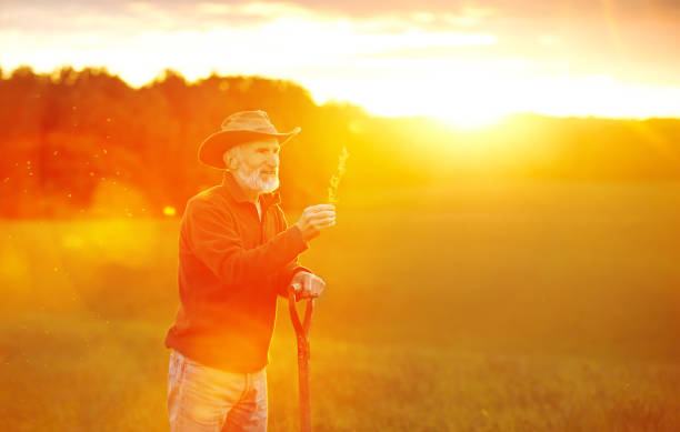 Shot of a mature farmer working on a field