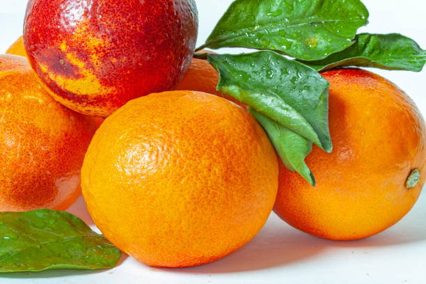 Blood oranges of Spain in heaps on a white background