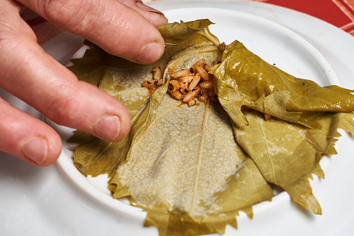 Dolma - Sarma - Dolmades. Making of well known appetizer rice stuffed grape leaves