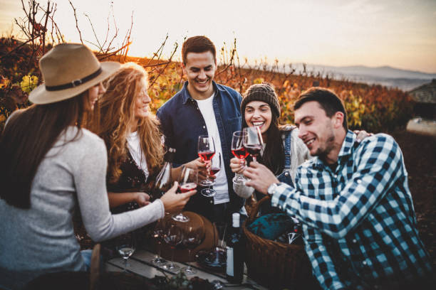 istock Group of people drinking wine in a vineyard 1061291604