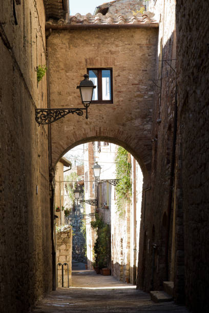 istock Alley of a hamlet 1061291648