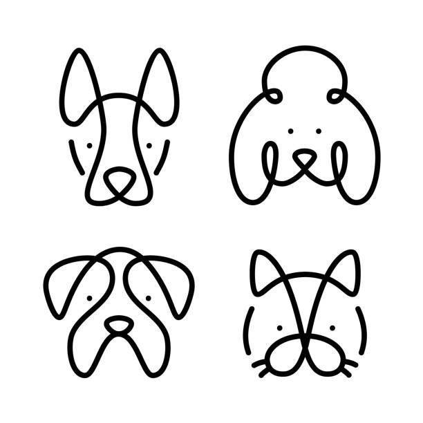 French Poodle Vectores Libres de Derechos - iStock French Poodle Vectores Libres de Derechos - iStock