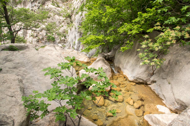 istock Paklenica National Park 1061296146