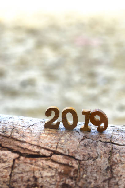 istock Number 2019 on on wood log 1061297198