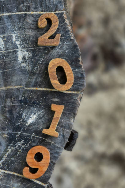 istock Top view of number 2019 on wood log 1061298608