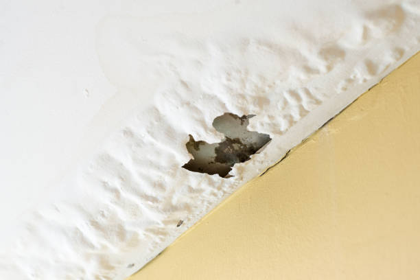 damaged ceiling from water leak - roof leak imagens e fotografias de stock