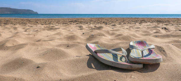 istock Colorful flip flop sandals on sandy beach 1061308010