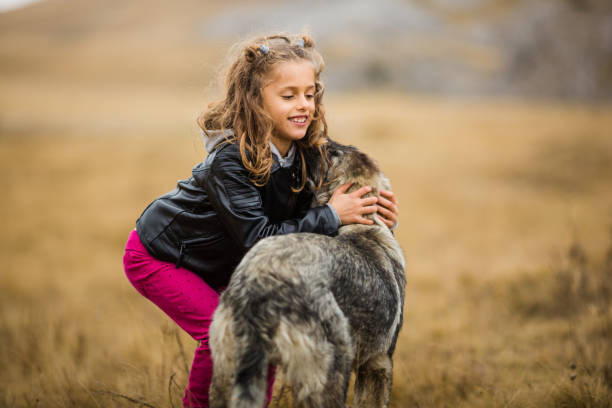 istock Little girl hugging a big shepherd dog 1061308506
