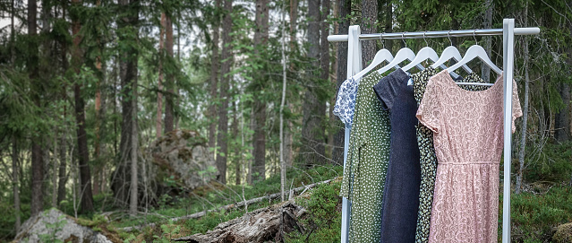 Clothes hanger with dresses in the woods. Concept for organic clothes, eco-friendly, ecological fashion.
