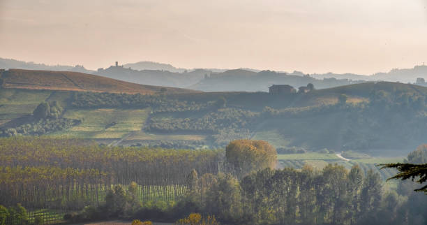 istock Sunset over Langhe vineyards. Color image 1061315346