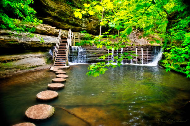 65 700 Waterfall Path Stock Photos Pictures Royalty Free Images 65-700-waterfall-path-stock-photos-pictures-royalty-free-images