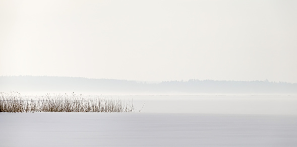 Reed point in a frozen lake with snow and a foggy horizon.
