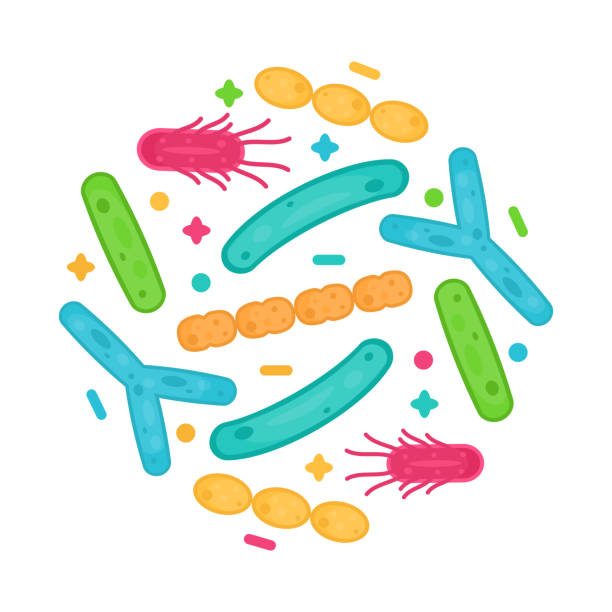 illustrations, cliparts, dessins animés et icônes de conception d’icône de germes et de bactéries probiotiques. ingrédient d’une alimentation saine pour la santé humaine. - mrsa infectious disease bacterium science