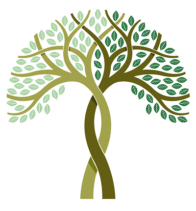 A simple graphic entwined tree illustration