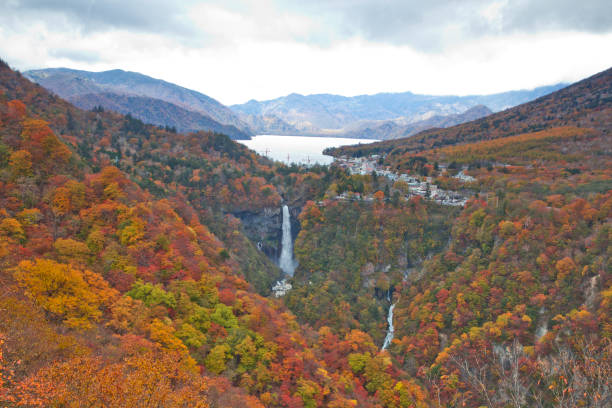 istock Nikko national park in Japan 1061322124