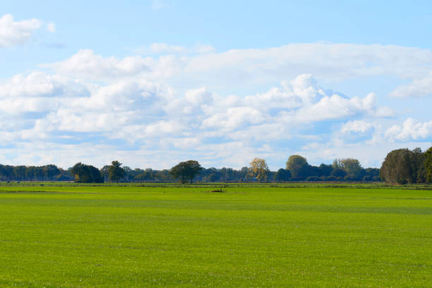 istock A view of a wide meadow 1061325152