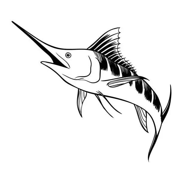 Vector illustration of Picture of Swordfish