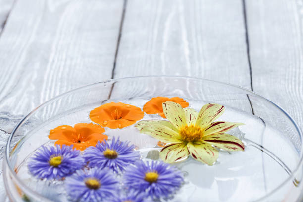 istock beautiful flowers in the water 1061329164