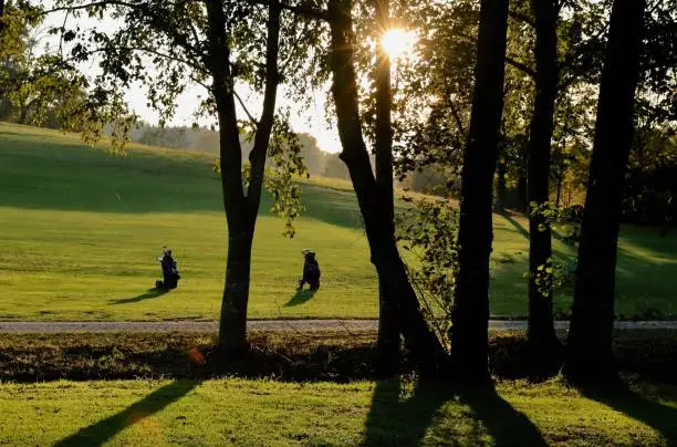 Contre jour shot of tree trunks, some of them with visible green leaves. In the background a way, crossing the meadow with autumn sun. Two golf bags standing near the way. No persons. Star-shaped sun.