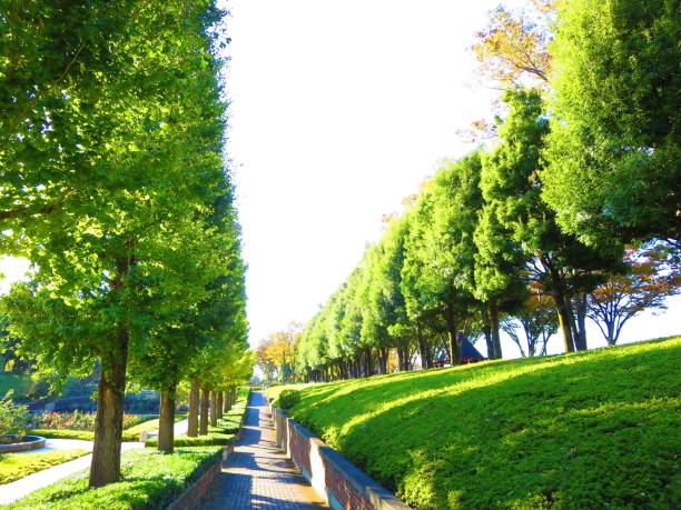 istock promenade in green 1061333314