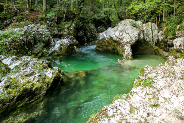 istock Beautiful Mostnica gorge 1061335306