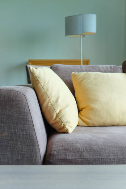 istock sofa in living room 1061337988