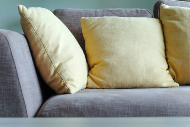 istock sofa in living room 1061338124