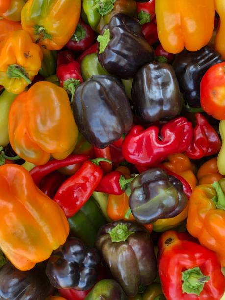 istock Fall vegetables, peppers, organic produce 1061338902
